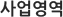 사업영역