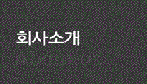 기업비전